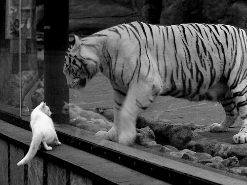 李刚仁，从东方学徒到安达卢西亚领航者