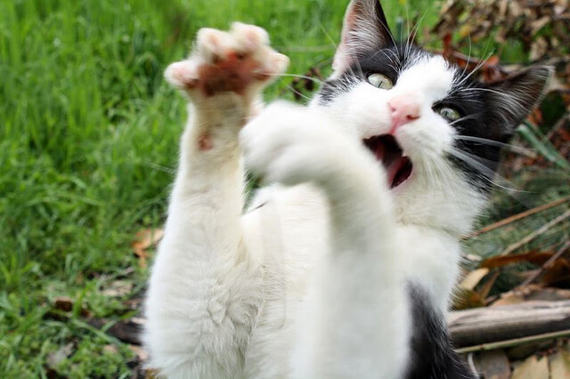 李刚仁，从东方学徒到安达卢西亚领航者