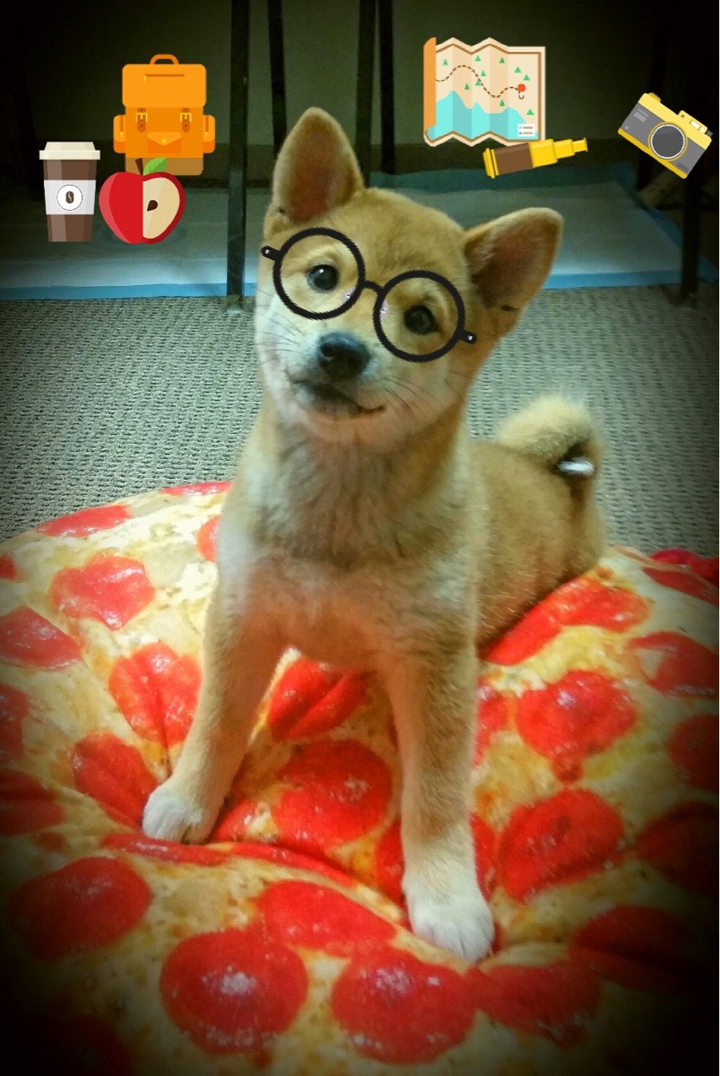 大西洋战争,帕尔默孤刃破坚城,爱尔兰铁阵淹黄金