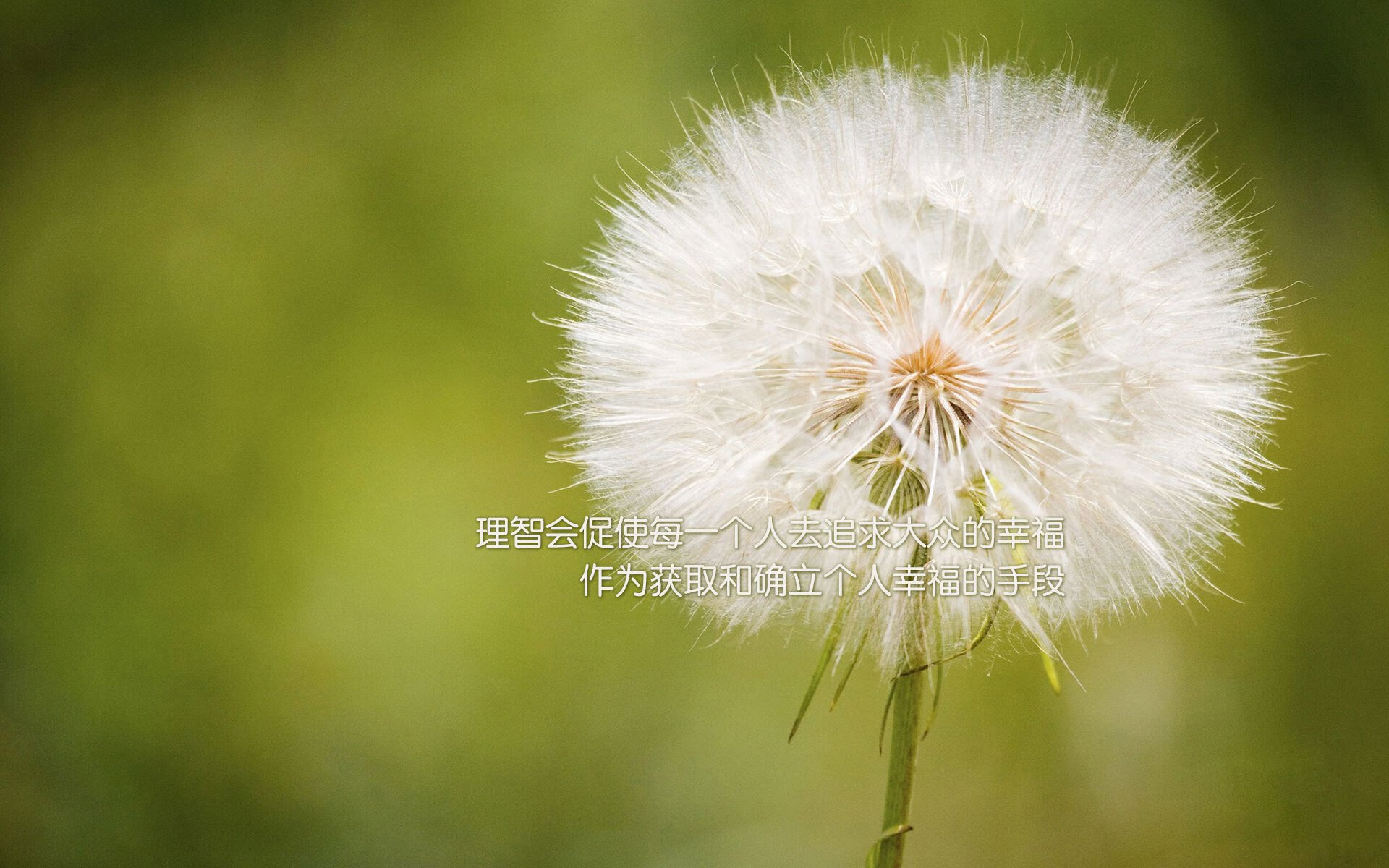 死亡之组的冷血一击，2026世界杯A组，智利铁骑碾碎非洲雄鹰，吉鲁上演致命绝杀